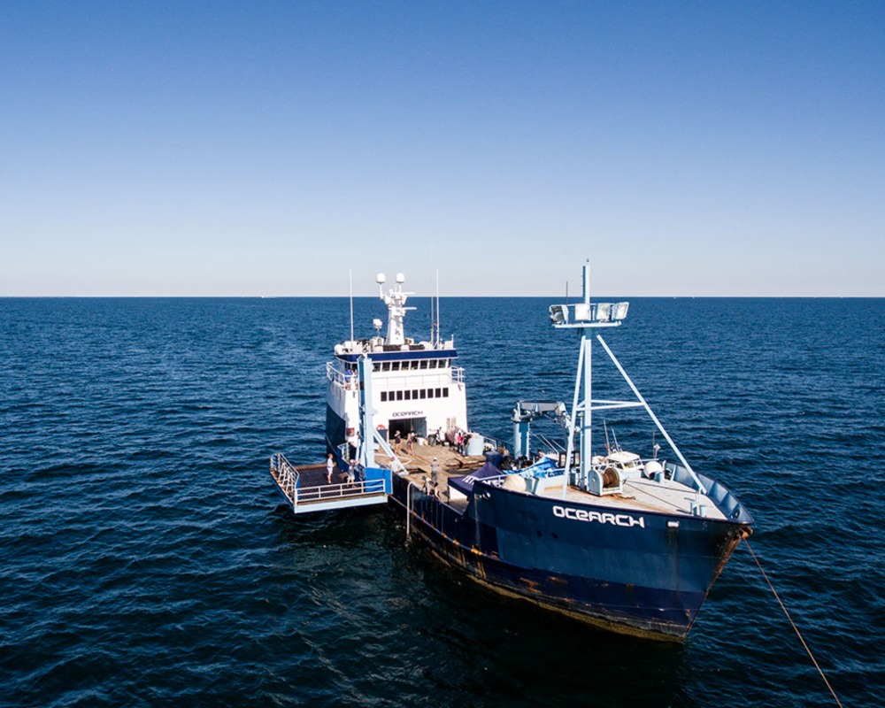 The OCEARCH research vessel sets sail on the open ocean.